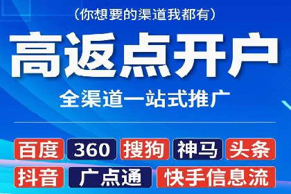 网络推广与竞价策略实战案例